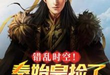 错乱时空！秦始皇捡了我的手机秦始皇王守阳在线章节免费阅读-酷悦文学