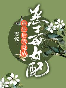 震惊！重生后我竟成恶毒女配小说的无弹窗阅读体验，寻找免费阅读网站