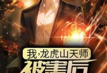 已完结小说《我，龙虎山天师，被害后傻了三年？》章节免费阅读-酷悦文学