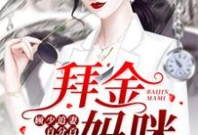 唐卿茹顾北琛的小说在哪里看?免费在线阅读拜金妈咪:顾少追妻百分百-酷悦文学