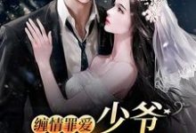 主角苏绵绵谢与淮小说完结版在线阅读,缠情罪爱:少爷,夫人逃跑了免费看-酷悦文学