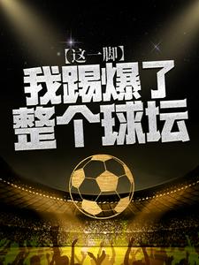 这一脚，我踢爆了整个球坛小说的免费电子版在哪里可以下载或阅读？