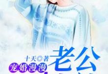 宠婚漫漫：老公别太撩小说的所有章节都能在哪里免费读到？-酷悦文学