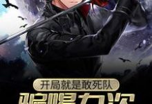 聂力墨笙歌为主角的小说好看吗？求开局就是敢死队，骗喝九次壮行酒免费试读-酷悦文学