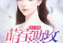 报告爹地：萌宝助攻已上线这本小说怎么样？免费在线阅读试试-酷悦文学