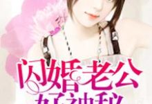 《闪婚老公好神秘》全集免费在线阅读（莫小陶厉斯夜沈越）-酷悦文学