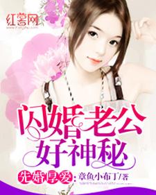 《闪婚老公好神秘》全集免费在线阅读（莫小陶厉斯夜沈越）