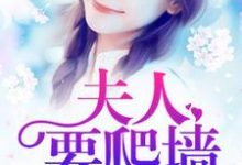 报告总裁：夫人要爬墙小说的无弹窗阅读体验，寻找免费阅读网站-酷悦文学