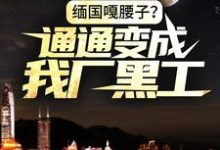 求缅国嘎腰子?通通变成我厂黑工!小说免费资源-酷悦文学