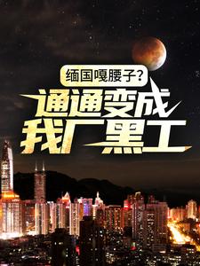 求缅国嘎腰子？通通变成我厂黑工！小说免费资源