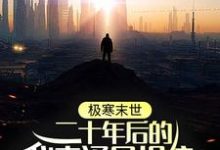 极寒末世：二十年后的我来通风报信小说无弹窗阅读的网站推荐-酷悦文学