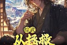 苏玄小说《综武:从拯救殷素素开始》在线阅读-酷悦文学