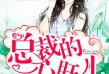 主角恬心即黑轩小说完结版在线阅读,总裁的心肝儿免费看-酷悦文学