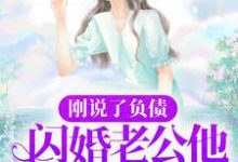 寻找刚说了负债,闪婚老公他身份曝光了?小说的最新更新章节-酷悦文学