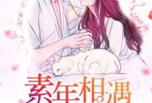 素年相遇的我们小说有没有完结版在线？-酷悦文学