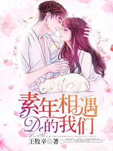 主角叫程诗晓陆邵阳的小说在哪阅读