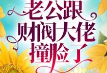 完结版《相亲闪婚后,老公跟财阀大佬撞脸了》免费阅读-酷悦文学