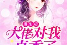 重生后,大佬对我真香了小说,重生后,大佬对我真香了安沐晚战霄霆-酷悦文学