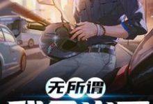 苏禾沈月为主角的小说叫什么?免费看无所谓,我会出手-酷悦文学