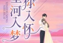 星河入梦你入怀这本小说怎么样?免费在线阅读试试-酷悦文学