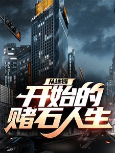 求推荐可以免费阅读从地摊开始的赌石人生小说的网站