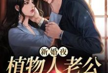 完结版《新婚夜,植物人老公突然亲我》章节目录在线阅读-酷悦文学