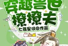 穿越兽世撩撩夫丁璇巢项伏珩辰穆小说免费阅读-酷悦文学