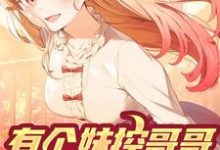 有个妹控哥哥是什么体验小说，有个妹控哥哥是什么体验免费阅读-酷悦文学