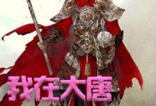 《我在大唐卖军火》小说主角方二程咬金小青章节章节免费在线阅读-酷悦文学