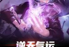 主人公叫傅川沈疏棠的小说哪里免费看-酷悦文学