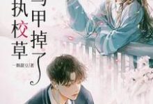 巫月明云开为主角的小说叫什么?免费看偏执校草你马甲掉了-酷悦文学