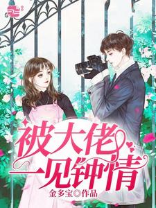 求被大佬一见钟情小说免费资源