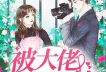 主人公傅安笙郁霆琛小说被大佬一见钟情在线章节阅读-酷悦文学