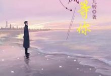 等风也等你小说有没有完结版在线?-酷悦文学