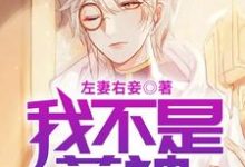 完结版《我不是药神》章节目录在线阅读-酷悦文学