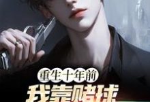 张扬为主角的小说好看吗？求重生十年前，我靠赌球成富豪免费试读-酷悦文学