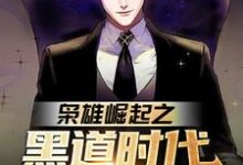 主角雷震苏凤仪小说枭雄崛起之黑道时代由我统领！免费阅读-酷悦文学