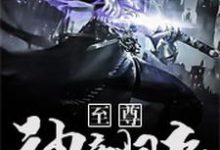 至尊神帝归来小说的无弹窗阅读体验，寻找免费阅读网站-酷悦文学