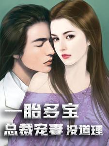 一胎多宝：总裁宠妻没道理小说全文阅读需要付费吗？寻找免费资源