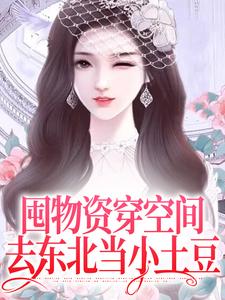 囤物资穿空间，去东北当小土豆免费阅读，囤物资穿空间，去东北当小土豆章节目录