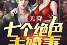天降七个绝色未婚妻小说有没有完结版在线？-酷悦文学
