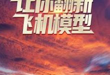 让你翻新飞机模型,你却打造幽灵战机?小说免费资源,让你翻新飞机模型,你却打造幽灵战机?在线阅读-酷悦文学