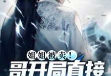 求秦龙李子小说免费资源-酷悦文学