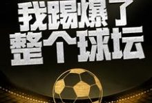 这一脚,我踢爆了整个球坛免费阅读,这一脚,我踢爆了整个球坛章节在线阅读-酷悦文学