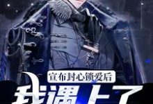 宣布封心锁爱后，我遇上了心动对象小说全文阅读需要付费吗？寻找免费资源-酷悦文学