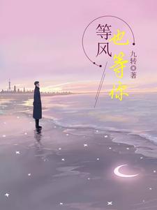 等风也等你这本小说在哪里可以看？哪里有免费试读章节？