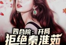 在线寻找 何雨柱冉秋叶的小说，四合院：开局拒绝秦淮茹免费阅读-酷悦文学