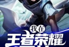 完结版《我在王者荣耀开挂》章节阅读-酷悦文学