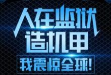 求人在监狱造机甲，我震惊全球！小说的全文免费阅读链接-酷悦文学