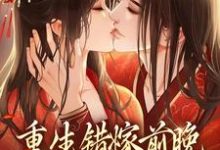 哪里可以免费读到苏蒹葭沈鹤亭的完整故事？寻找重生错嫁前晚，我找上前夫他爹-酷悦文学